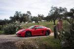 Porsche 718 Cayman T 2019 года (WW)